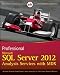 Professional Microsoft SQL Server 2012 Analysis Services with MDX