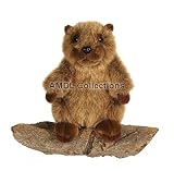 Groundhog 8