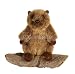 Wildlife / Domestic Animals : Groundhog 8