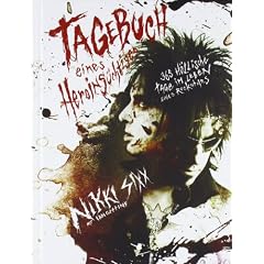 Tagebuch eines Heroins�chtigen: 365 h�llische Tage im Leben eines Rockstars
