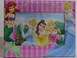 New Disney Princess Photo Album and Picture Frame