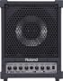 Roland Cube Monitor / PA