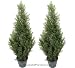 TWO Pre-Potted 3' Artificial Cedar Topiary Outdoor Indoor Tree, 3 Iris Stems Free with Purchase (retail price $23.07)