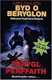 Perygl perffaith
