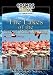 Amazon price tracker, Amazon price history charts, Cosmos Global Documentaries THE LAKES OF THE GREAT RIFT VALLEY