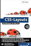 CSS-Layouts: Praxislösungen mit YAML, CSS-Layouts mit TYPO3 und xt:Commerce, inkl. Internet Explorer 7 (Galileo Computing)