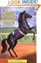 The Black Stallion's Shadow