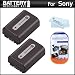 2 Pack Battery Kit For Sony