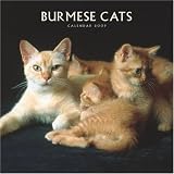 Burmese Cats 2009 Square Wall Calendar