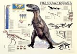 Tyrannosaurus Rex Poster