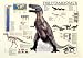 Tyrannosaurus Rex Poster