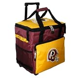 NFL Washington Redskins Mobilize Cooler