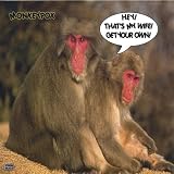 Disc 2: 11. Monkeypox