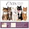 Cats . . in 2012 Calendars ! 2 *
