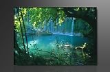 Image sur toile 80 x 60 cm Modèle N° XXL 4164 Tableaux pour la mur, encadrés, prêts à poser, tout les images sur châssis géant bois véritable.