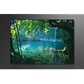 Bild auf Leinwand B�ume 80 x 60 cm Modell-Nr. XXL 4164 Bilder fertig gerahmt� auf echtem Holzrahmen. Ausf�hrung Kunstdruck als Wandbild mit Rahmen.