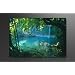 Image sur toile 80 x 60 cm Mod�le N� XXL 4164 Tableaux pour la mur, encadr�s, pr�ts � poser, tout les images sur ch�ssis g�ant bois v�ritable.