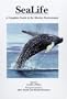 Sealife: A Complete Guide to the Marine Environment