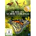 Die Reise des Schmetterlings - Das Geheimnis des Monarchfalters
