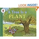 A Tree Is a Plant (Let's-Read-And-Find-Out Science: Stage 1 (Pb))