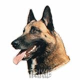 Eigenschaften Trixie  / Aufkl. Malinois, (K)