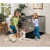 Midwest Life Stages Single-Door Folding Metal Dog Crate, 48 Inches by 30 Inches by 33 Inches