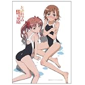 とある科学の超電磁砲 タペストリー 美琴と黒子