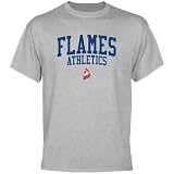 NCAA UIC Flames Athletics T-Shirt - Ash