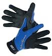 NeoSport Wetsuits Premium 2mm Neoprene Glove