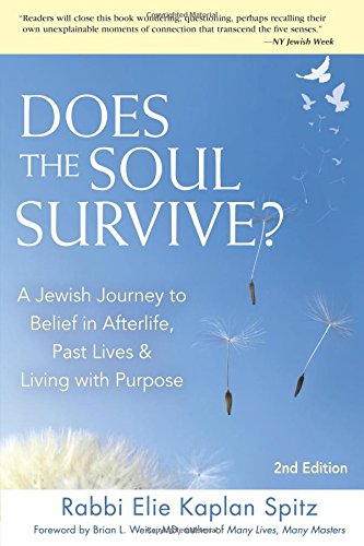 Does the Soul Survive?: A Jewish Journey to Belief in Afterlife,  Past Lives & Living with Purpose