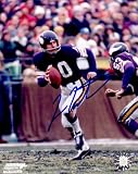Fran Tarkenton autographed 8x10 Minnesota Vikings photo