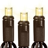 Warm White - 50 LED Bulbs - Wide Angle Lens - Length 25 ft. - Bulb Spacing 6 in. - Brown Wire - Polka Dot Christmas Mini Light String - Superior Holiday Lighting 1100039