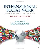 International Social Work: Issues, Strategies, and Programs
