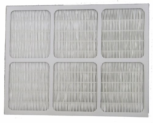 HAPF-40 Family Care Air Cleaner HEPA Filter