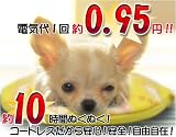 ペットの　湯たんぽ気分　丸型
