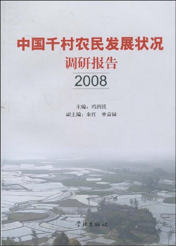 培训总结报告模板_农民收入调查报告总结(3)