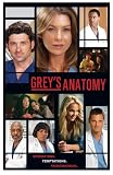Grey's Anatomy (Group) Gold Wood-Mounted TV Poster Print - 11