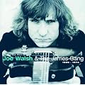 The Best of Joe Walsh & The James Gang 1969-1974