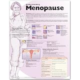 Understanding Menopause Anatomical Chart (Laminated)