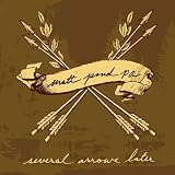 SEVERAL ARROWS LATER [Vinyl]
