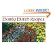 Dandy Dutch Recipes