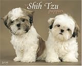 Just Shih Tzu Puppies 2009 Wall Calendar