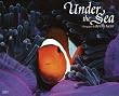 Under the Sea 2011 Wall Calendar
