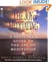 The Joy of Meditating: A Beginner's Guide to the Art of Meditation