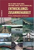 Entwicklungszusammenarbeit: Akteure, Handlungsmuster und Interessen - 