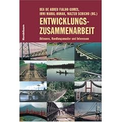 Entwicklungszusammenarbeit: Akteure, Handlungsmuster und Interessen