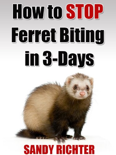 Ferret Biting (How to Stop Ferret Biting in 3-Days)