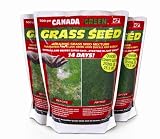 Garden & Outdoors Online Shop Ranking 25. Canada Green Grass Seed, 500 Grams Garden & Outdoors Online Shop Ranking 25. Canada Green Grass Seed, 500 Grams