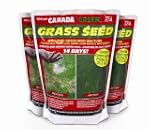 Canada Green Grass Seed, 500 Grams