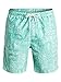 Quiksilver Waterman Men's Kiko Volley Short